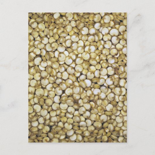 Carte Postale Macro des grains de quinoa (Devant)