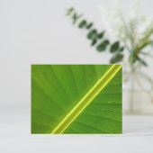 Carte Postale Macro feuille banane (Debout devant)