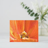 Carte Postale macro fleur orange (Debout devant)