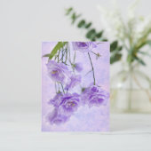 Carte Postale Macro Fleurs Campanella Violet (Debout devant)