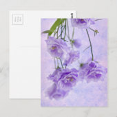Carte Postale Macro Fleurs Campanella Violet (Devant / Derrière)