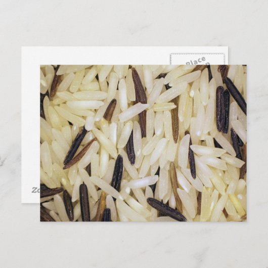 Carte Postale macro grains de riz (Devant / Derrière)
