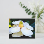 Carte Postale macro image Fleur Magnolia (Debout devant)