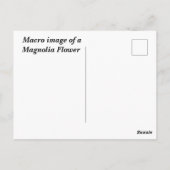 Carte Postale macro image Fleur Magnolia (Dos)