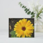 Carte postale Macro Marigold jaune (Debout devant)