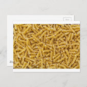 Carte Postale Macro pasta Fusilli en tant que structure arrière (Devant / Derrière)