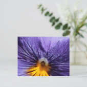 Carte Postale Macro : purple et jaune pansement (Debout devant)