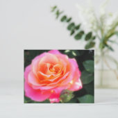 Carte Postale Macro Rose rose et orange (Debout devant)