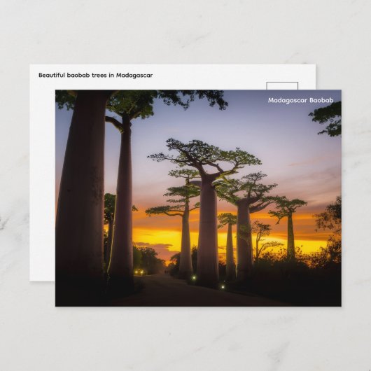 Carte postale Madagascar (Devant / Derrière)