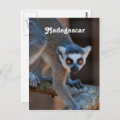 Carte Postale Madagascar Lemur (Devant / Derrière)