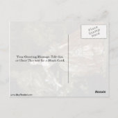 Carte Postale Madame De Pompadour Par François Boucher (Dos)