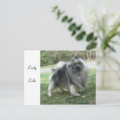 Carte Postale Madame Lola Postcard (Debout devant)