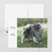 Carte Postale Madame Lola Postcard (Devant / Derrière)