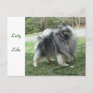 Carte Postale Madame Lola Postcard
