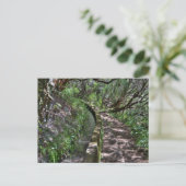 Carte Postale Madeira Road (Debout devant)
