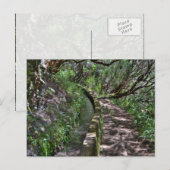 Carte Postale Madeira Road (Devant / Derrière)