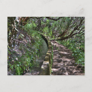 Carte Postale Madeira Road