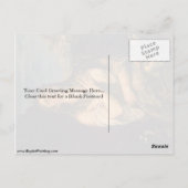 Carte Postale Madeleine pénitente par Titien (Dos)