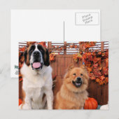 Carte Postale Mae St Bernard et Cinny Chow Photo-11 (Devant / Derrière)