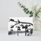 Carte Postale Magasin de chaussures (Debout devant)