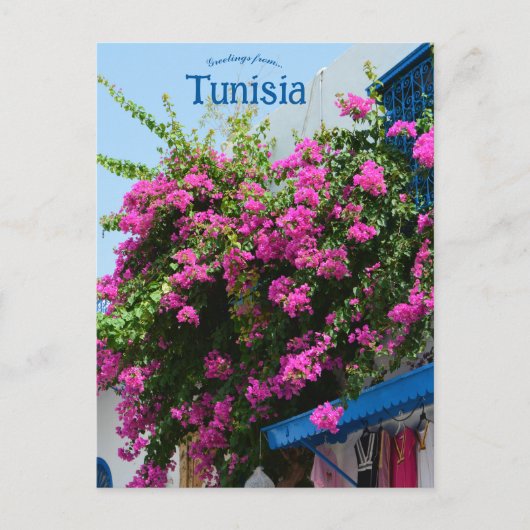 Carte Postale Magasin de vêtements et fleurs à Tunis (Devant)