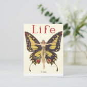 Carte Postale Magazine Life (Debout devant)