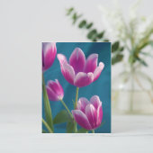 carte postale magenta tulipes (Debout devant)