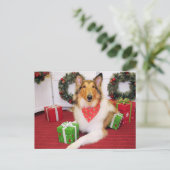 Carte Postale Maggie - Collie - Donohoo (Debout devant)