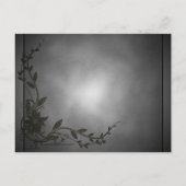 Carte postale Magic Black Cat (Dos)