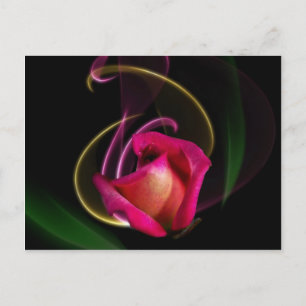 Carte Postale Magic Carousel Rose Postcards
