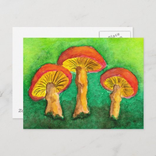 Carte postale Magic Mushroom Trio (Devant / Derrière)