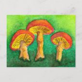 Carte postale Magic Mushroom Trio (Devant)