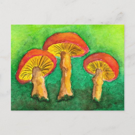 Carte postale Magic Mushroom Trio (Devant)