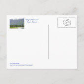 CARTE POSTALE  "MAGICAL HANALEI" (KAUAI) (Dos)