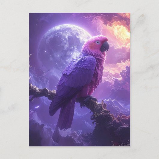 Carte Postale Magical Parrot (Devant)