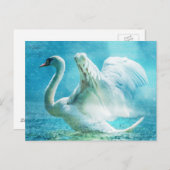 Carte Postale Magical Swan (Devant / Derrière)