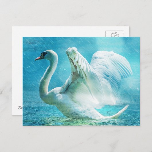 Carte Postale Magical Swan (Devant / Derrière)