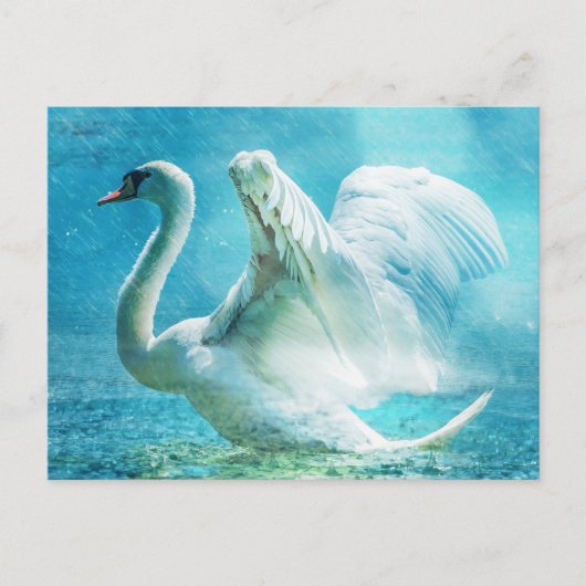 Carte Postale Magical Swan (Devant)
