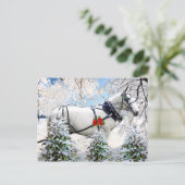 Carte Postale "Magie dans le baudrier" (Debout devant)