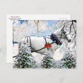 Carte Postale "Magie dans le baudrier" (Devant / Derrière)