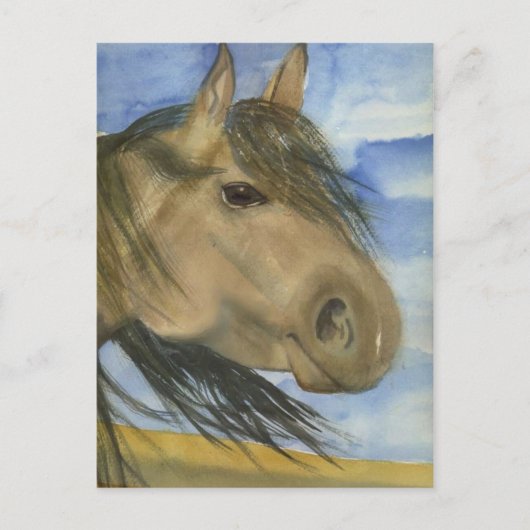 Carte Postale Magie, un Mustang américain (Devant)