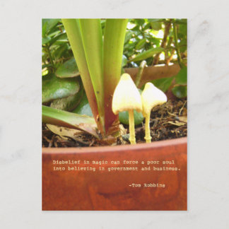 Carte postale magique