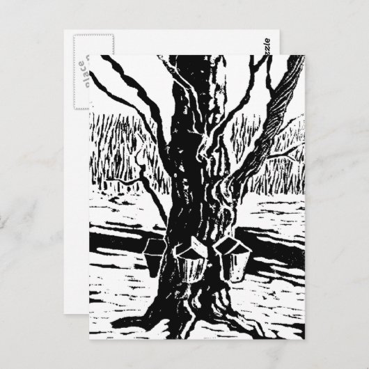 Carte postale magique Springtime (Devant / Derrière)