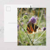 Carte Postale Magnet de teigne de tigre de Jersey (Devant / Derrière)