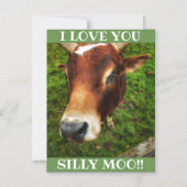 Carte postale magnétique (Recto)