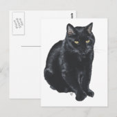 Carte Postale Magnifique Chat Noir (Devant / Derrière)