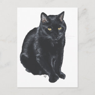 Carte Postale Magnifique Chat Noir