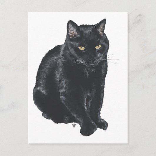 Carte Postale Magnifique Chat Noir (Devant)