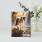 Carte Postale Magnifique cheval à la cascade (Debout devant)