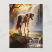 Carte Postale Magnifique cheval à la cascade (Devant)